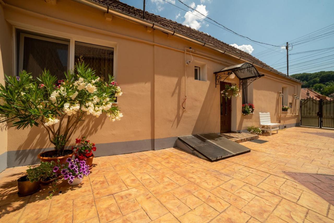 Nice&Cozy Apartament Сігішоара Екстер'єр фото